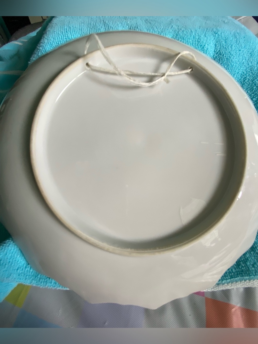 Vintage Texas Landmark Souvenir Plate The Alamo,Cotton Bowl, Palo Duro Canyon - Picture 4 of 9
